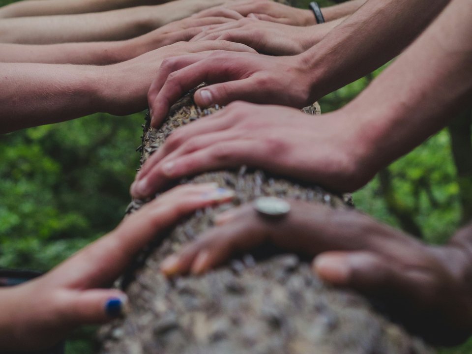 Hands joined together, representing the gentle energy work of a Reiki session